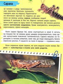 Мініенциклопедія. Комахи та павуки. Зображення №8