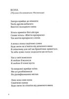 Срібне поле. Зображення №2