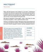 Українські диковиська. Image №11