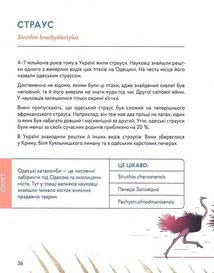 Українські диковиська. Image №13