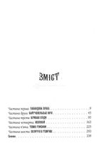 Агенція Локвуд і Кº. Примарний хлопець. Книга 3. Image №3