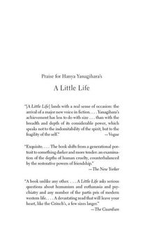 A little life. Зображення №3