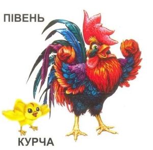 Татко, мама і малюк — фото 5