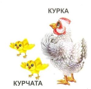 Татко, мама і малюк — фото 6