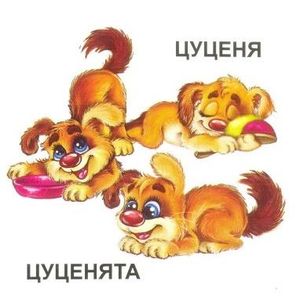 Татко, мама і малюк — фото 10