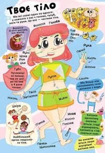 Книжка з секретними віконцями. Все про твоє тіло. Image №6