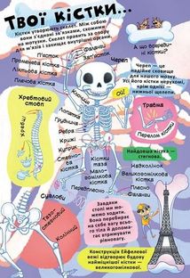 Книжка з секретними віконцями. Все про твоє тіло. Image №8