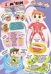 Книжка з секретними віконцями. Все про твоє тіло. Image №9