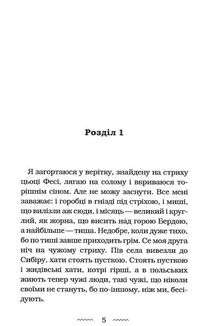 Око світу. Зображення №2
