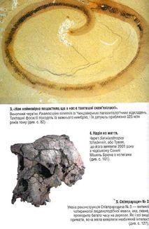 Оповідь предка. Історія створення людства. Image №10