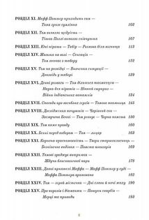 Пригоди Тома Соєра. Зображення №4