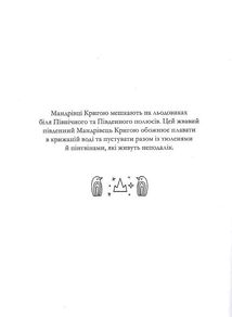 Розмальовка "Товариство Магічний єдиноріг". Image №8