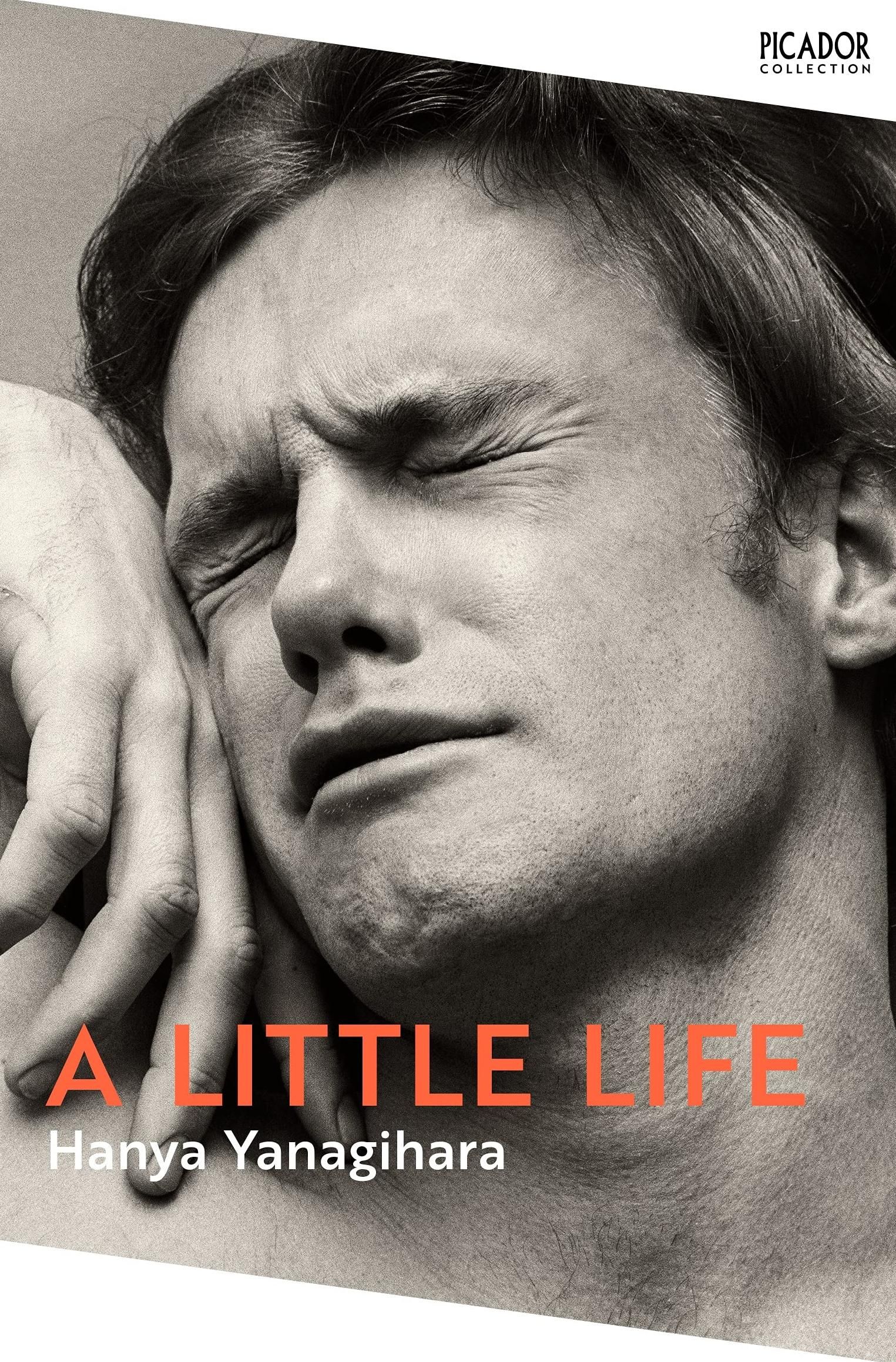 Обкладинка видання A Little Life