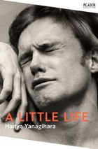 A little life. Зображення №1