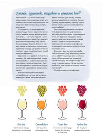Amber Revolution. Як світ закохався в оранжеве вино. Image №5