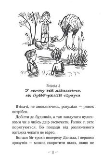 Таємниця козацького скарбу. Книга 1. Image №10