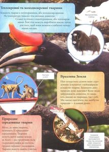 Дитяча енциклопедія тварин. Зображення №8