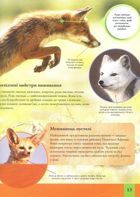 Дитяча енциклопедія тварин. Зображення №10