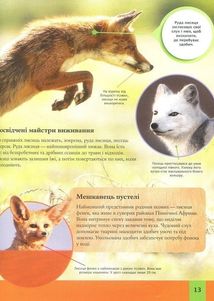 Дитяча енциклопедія тварин. Зображення №10