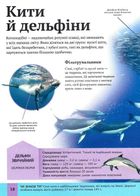 Дитяча енциклопедія тварин. Зображення №12