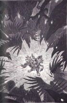 П'ять королівств. Дар темнистої нори. Книга 2. Image №6