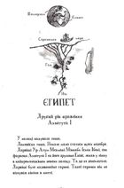 Мій братик мумія і золотий скарабей. Книга 1. Image №3