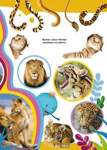 Школа чомучки. Дивовижні тварини. 60 розвивальних наліпок. Image №4