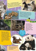 Школа чомучки. Дивовижні тварини. 60 розвивальних наліпок. Image №6