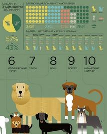 Я і світ. Історія в інфографіці. Зображення №12