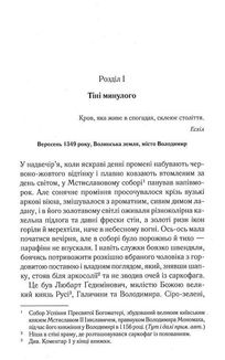 Князь русинів. У павутинні інтриг. Книга 1. Image №5