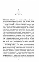 Паризькі години. Зображення №6