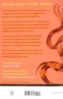 A court of silver flames. Book 5. Image №2