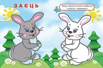 Упізнай і розфарбуй. Лисиця та єнот. Image №2