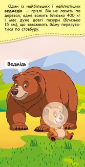 Книжка у кишеню з наліпками. Де чий малюк? . Image №3