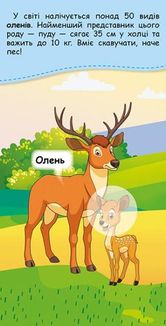 Книжка у кишеню з наліпками. Де чий малюк? . Image №5