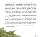 Кісточка оливи. Зображення №16