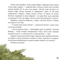 Кісточка оливи. Зображення №16