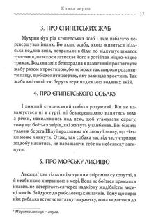 Строкаті Історії. Зображення №7