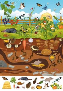 Великий віммельбух. Мікросвіт. Image №3