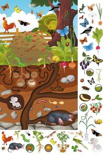 Великий віммельбух. Мікросвіт. Image №4