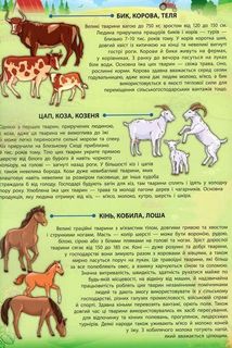 Енциклопедія з наліпками. Свійські тварини. 60 наліпок + настільна гра. Image №8