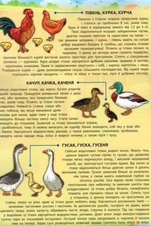 Енциклопедія з наліпками. Свійські тварини. 60 наліпок + настільна гра. Image №10