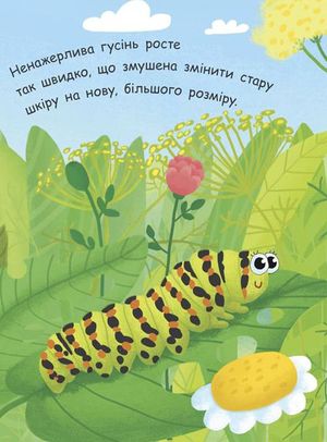 Моя перша енциклопедія. Як народжується метелик? — фото 6