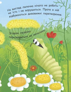 Моя перша енциклопедія. Як народжується метелик? — фото 9