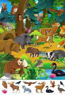 Великий віммельбух. Тварини . Image №3