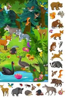 Великий віммельбух. Тварини . Image №4