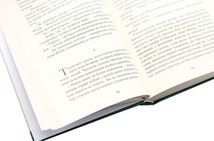 Хатідже Турхан. Султана-українка на османському престолі. Книга 2. Зображення №7
