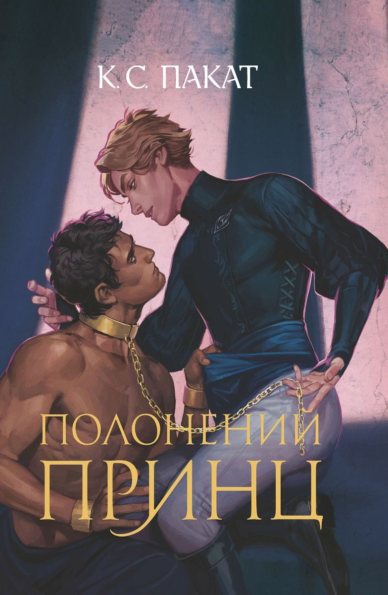 Обкладинка Полонений принц. Книга 1