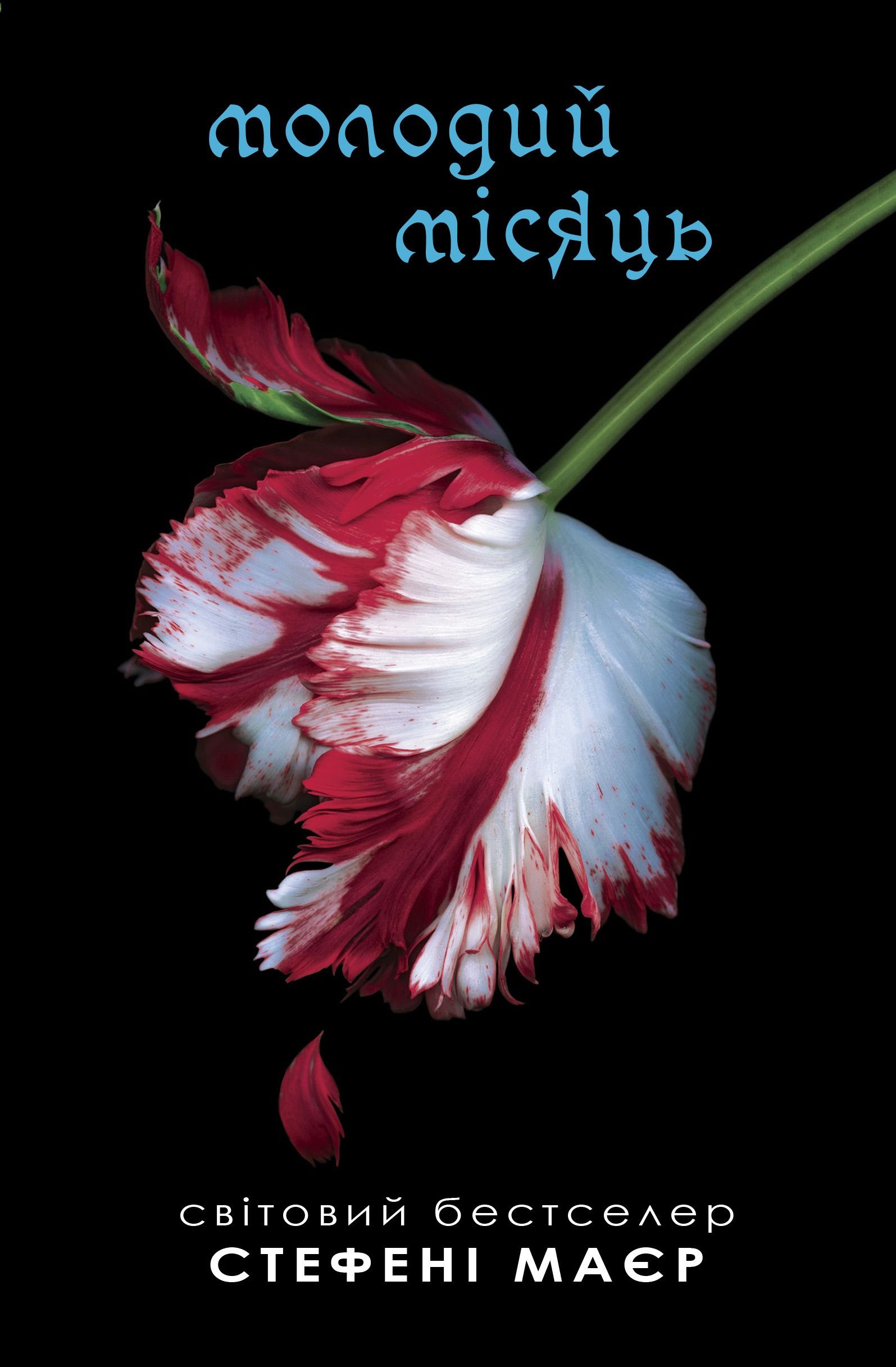 Сутінкова сага. Молодий місяць. Книга 2