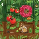 Зазирни у віконечко. Хто живе на фермі? . Image №5